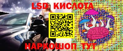 spice Берёзовский