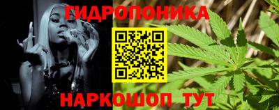 дмт Бийск