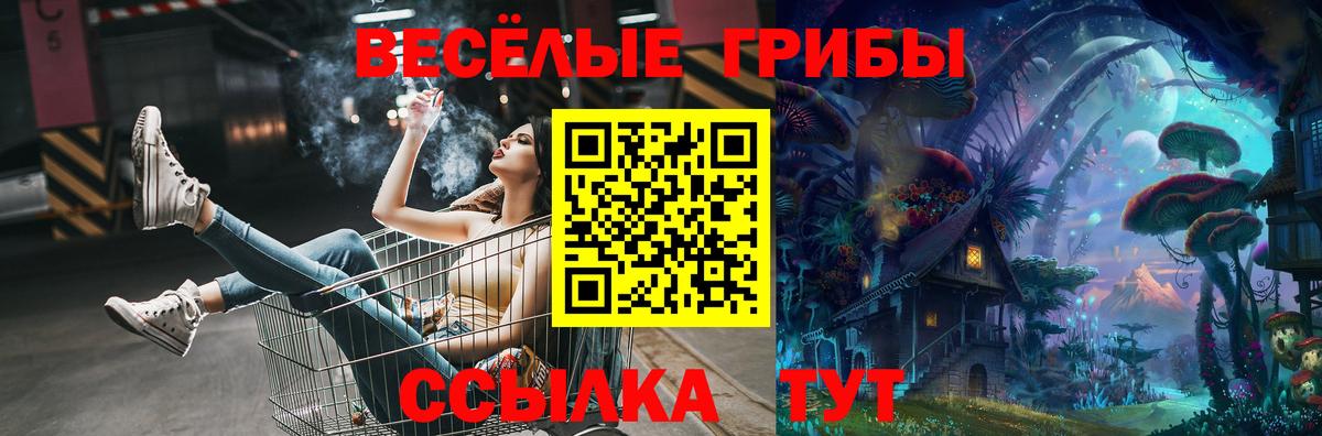 Заводоуковск  Галлюциногенные грибы GOLDEN TEACHER  Вход с VPN 